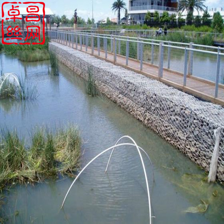 卓昌 (565)_副本.jpg