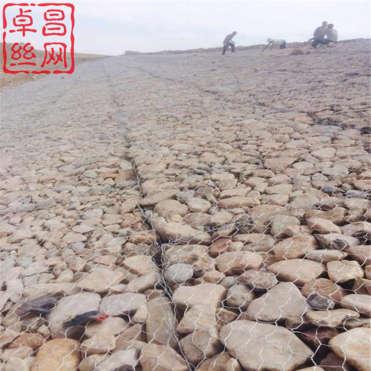 1655016834630077466.jpg 1375.jpg