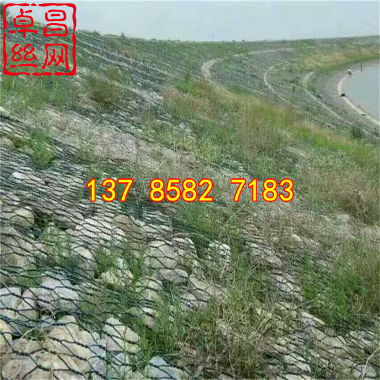 1656985547128092599.jpg 1740 (4).jpg