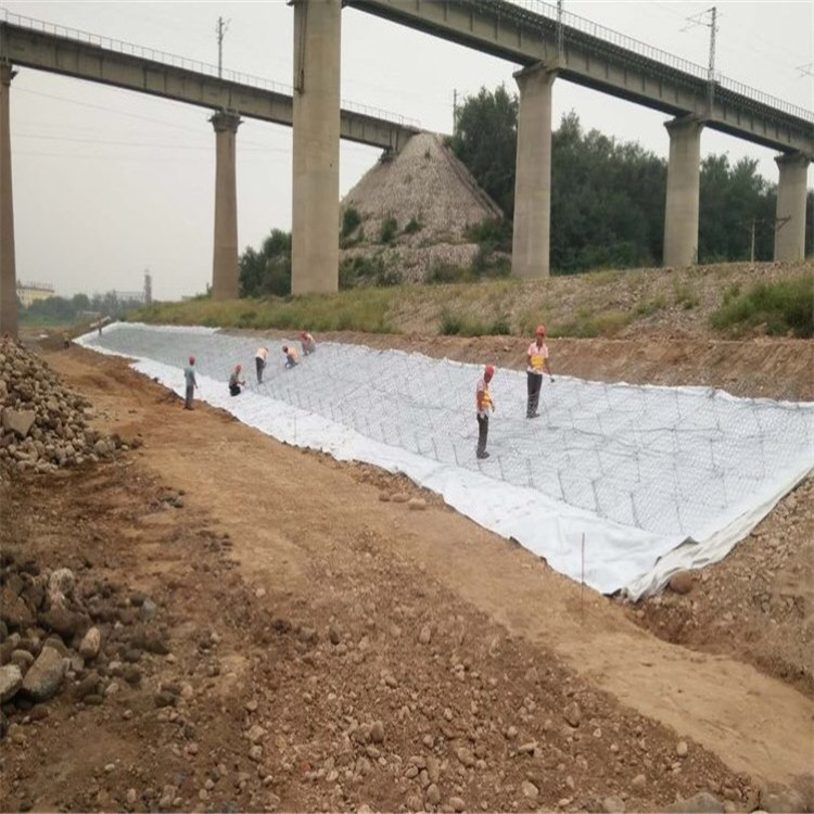 1657672856522080810.jpg 1548 (115).jpg